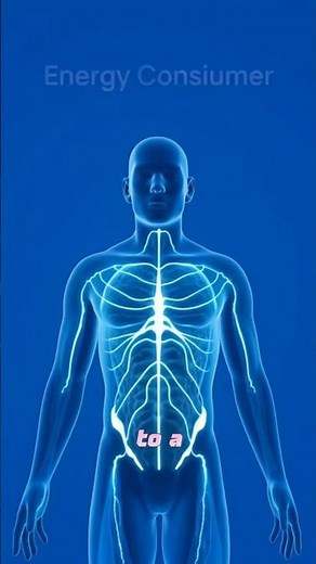 Why You Feel Tired All The Time – Hidden Causes of Low Energy Explained
