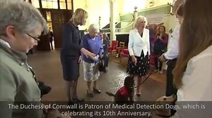 468K views · 11K reactions | Today The Duchess of Cornwall, in the...