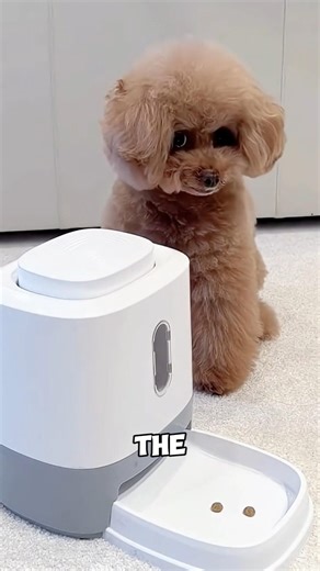Genius Dog Refills His Own Treat Machine 🐶 #smartdog #doggenius #doglover