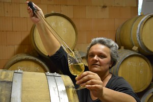 Domaine Sophie Cinier, Pouilly-Fuissé