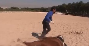 [VIDEO] Naughty horse pretends to fall dead when people try to ride it