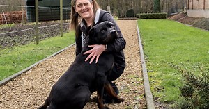 Voici les conditions à remplir pour pouvoir adopter un chien ou un chat dans un refuge tel que celui de la Croix bleue de Floriffoux (vidéo)