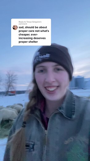 Raising our Sheep Outdoors in Canada