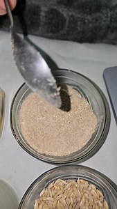 1.5K reactions · 352 shares | Barley /وُشکہ 1. Depression 2. Anxiety 3. Lowers blood sugar 4. Best for heart health 5. Lowers bad cholesterol #link https://wp.me/p2vgwE-Cu | Javaid Speaks | Facebook