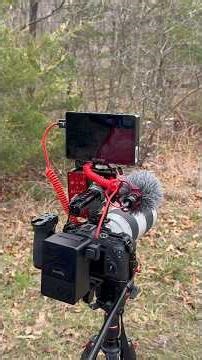 Canon R8 video setup 🤯 #canonvideography #deer #deerseasonprep #canoncamera #HuntMO