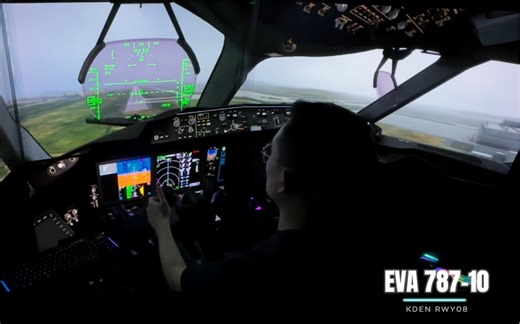 终于想起来用787的HUD了，试试竖版视频效果