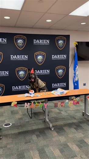 Darien CT Police Department on Reels