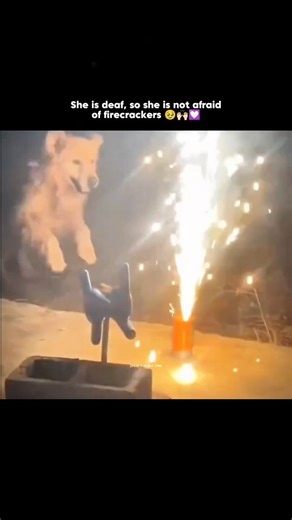 Smart Aura Vibes on Instagram: "A plain sheet of glass is transformed using a mix of silver nitrate, ammonia, and a bit of glucose. When the liquid is poured over the glass, a chemical reaction begins. Slowly, silver starts to deposit on the surface, turning the clear glass into a smooth, reflective mirror. It's a surprisingly simple mix of ingredients, but the result feels almost magical. Just a bit of science, and ordinary glass becomes something extraordinary. #mirror #tech #technology #techn