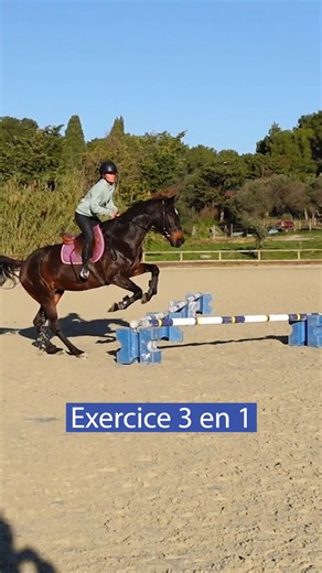 Exercice 3 en 1 ⤵ terredesportequestre.com/exercices-saut-dobstacles #cheval #horse #jumping | Terre de Sport Equestre