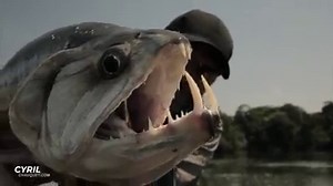 15K views · 590 reactions | Here we are... Our first big announcement of the week! Stay tuned for more details... ;) | Chasing Monsters with Cyril Chauquet | Facebook