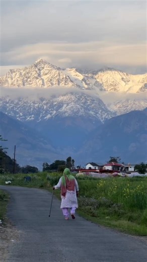 Dhauladhar Mountain Range Kangra Himachal Pradesh | Snowy Mountains & Heavenly Views 🏔️✨