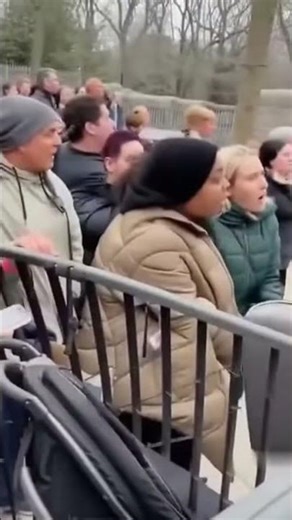 Unbelievable Rescue at the Zoo: Black Panther's Unexpected Heroics