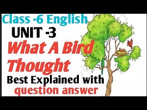Class 6 English ,Unit 3 What A Bird Thought full explained with question answers 🔔👍
