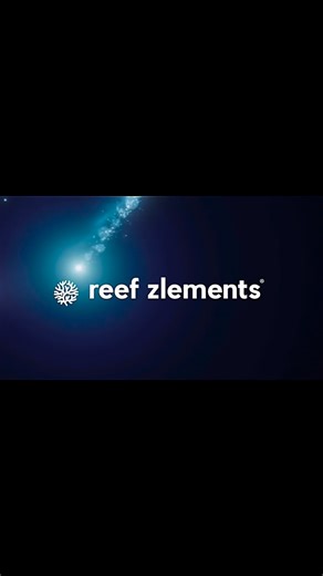 Reef Zlements on Instagram: "#reefzlementsmovement #reefzlementspower💥 #reefzlementssupport #advancedreefkeeping #reefzlementsicp"
