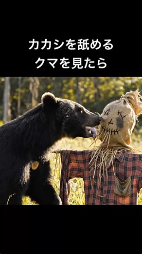 クマが人間に懐くこともある