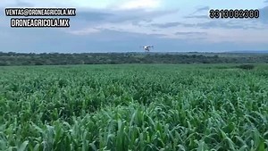 Fumigacion Agricola con drone | Programa tu aplicación! https://wa.me/5213313082380 Aplicacion Aerea en Maíz, Sorgo, Cebada, Trigo, Caña, Platano, Papaya, Uva, Cartamo, Chia, Aguacate, Limon y muchos otros cultivos El precio depende del numero de tablas y hectáreas a fumigar 500 pesos por hectarea. -Control de plagas -Fertilizacion foliar -Aplicacion de herbicidas selectivos -Mide tu area cutivable -Monitoreo de salud mediante NDVI -No arriesgas gente y no pisas tu cultivo y aplica con suelos mo