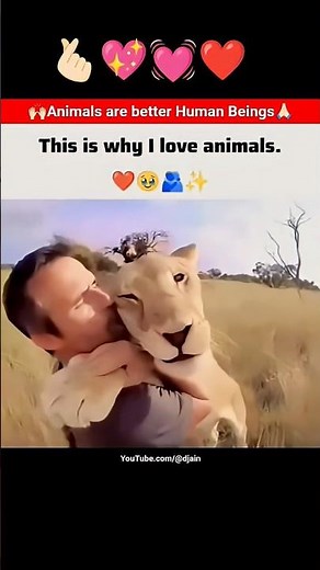 animals x humans cute priceless bonding