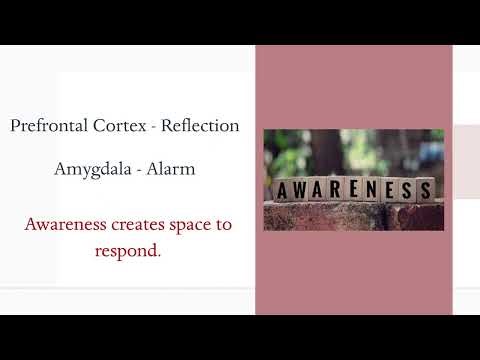 EQ: Self Awareness Module 2