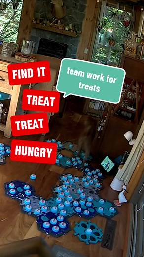 Do dogs talk to each other with buttons? Not as often as they team up using them for a common goal! Bastian & @Parker seem especially good at this 🥴 #talkingdog #fluentpet #canineaic