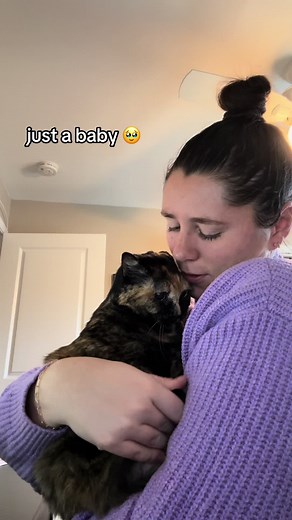 Heartwarming Moments with My Beloved Tortie Cat