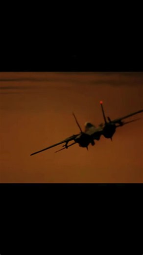 Tomcat overview: Why pilots love the F-14 Tomcat