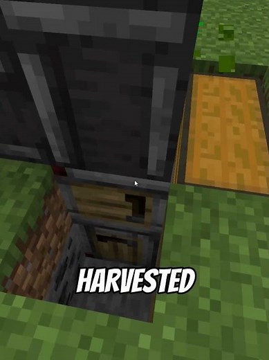 The Smartest Way to Get Wood in Minecraft 1.21