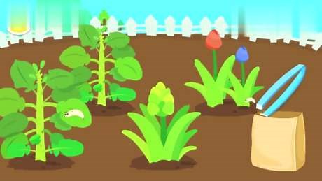 春夏秋冬，感知四季不同的特点和它的变化