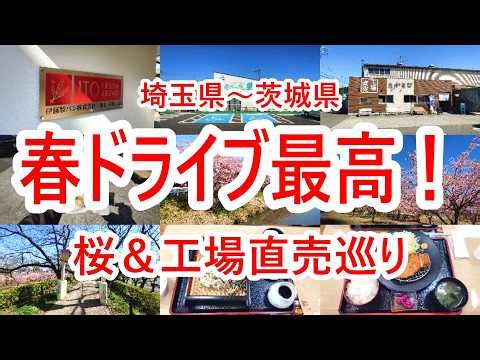 Enjoy spring in Saitama! A road trip visiting cherry blossoms and factory outlets. Factory Outlet...