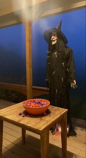 Porcupine Got Spooked on Halloween 🎃 Hidden Camera