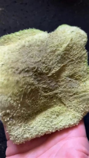 Cleaning your vehicle with Coke! | Ceith Griffith