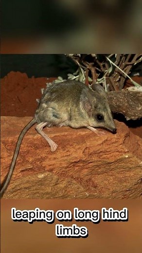 Top Scientist Reveals Kultarr's Secret to Surviving Drought