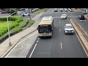 THE BUS - Buses in Honolulu, Hawaii 2025