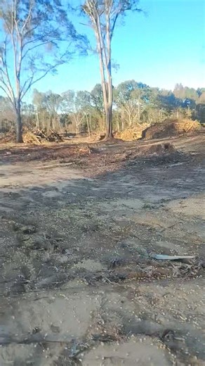 It's getting close | Ralph Gibson