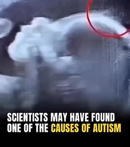 This can change everything 👇👀 | Creative Ideas