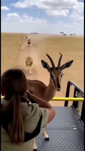 #alp #abandoned #polarisranger #hiking #creepy #automobile #horror #ghost #paranormal #mountains