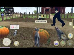 Little Cat Simulator : Kitties Family NEW Baby Adventure Games iOS - Play Fun Cute Kitten #5