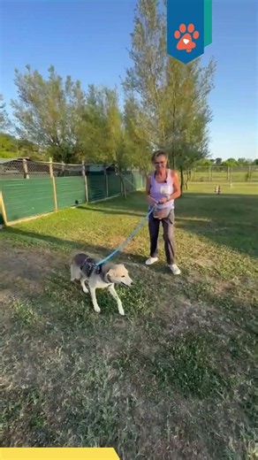 Arrived from Calabria to find her family: Claudia from A4Z's appeal for Callas