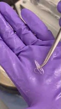 Swift 4-D printing with shape-memory polymers