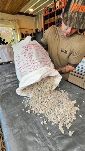 Resin Cleaning to Copper Still | The Real Beginning of Frankincense Distillation