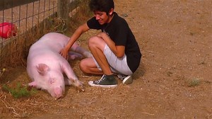 46K views · 3.1K reactions | Last summer, a compassionate teenager named Bruno made a courageous choice and saved the life of his pig friend Lola. Recently, Bruno and his mom Dulce were able to make the trip to our Northern California Shelter for a visit with Lola! Learn more: AnimalsofFarmSanctuary.com Video by Synthian Sharp | Farm Sanctuary | Facebook