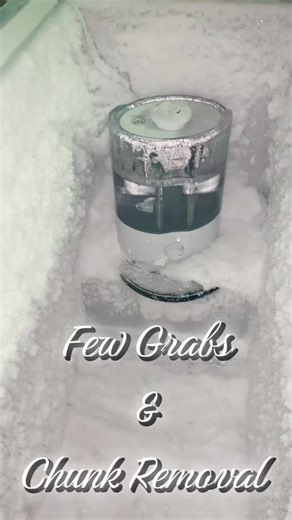 Ice Eating Video with Humidifier and Freezer Tips