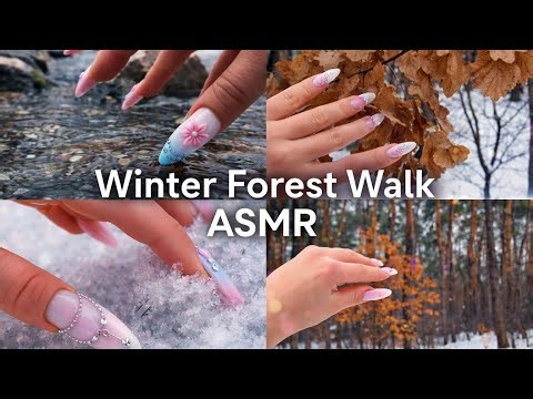 Forest Walk ASMR | Wet Snow, Rocks & Pine Sounds