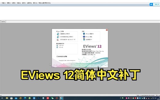 EViews12简体中文版汉化补丁安装演示，其它版本会陆续推出（提供7天免费试用版）