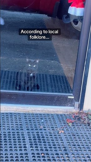Black Cat Spiritual Meaning 🐈‍⬛ #cats