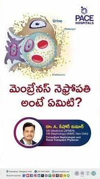మెంబ్రేనస్ నెఫ్రోపతి అంటే ఏమిటి? | Basics of Membranous Nephropathy | Membranous Nephropathy Telugu