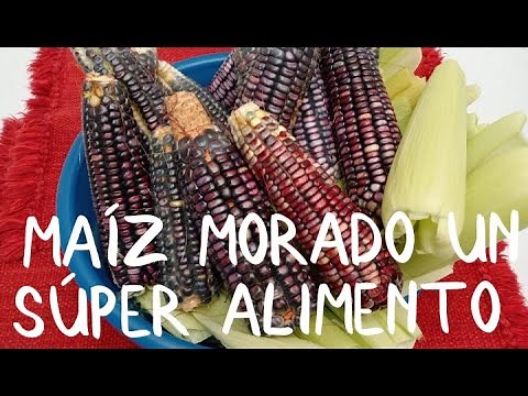 Maíz MORADO o Negro 4 Recetas con este ¡Súper alimento!