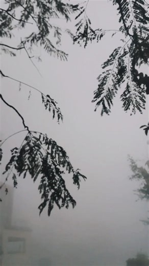 Winter Morning ! Zindagi ! #wintervibes #wintermorning #shorts #lifelessons #motivationalquotes