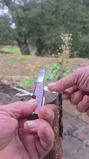 LL BEAN VICTORINOX POCKET PAL #classicknife