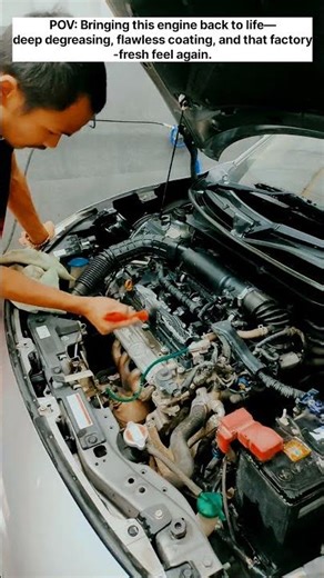 Engine Degreasing and Coating | Detailer Diary #autodetailing #enginedetailing #car
