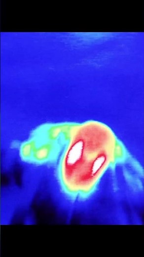 PREDATOR'S ULTIMATE URBAN HUNT! | Predator 2 - Epic Final Showdown #music